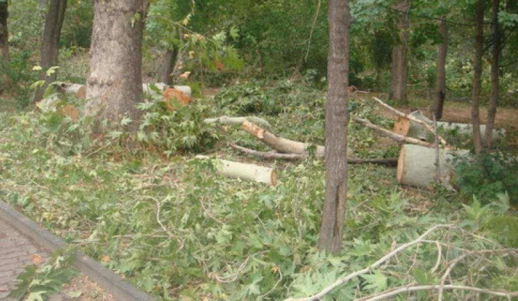 4ba740946aa59ed74ab95c388d189338