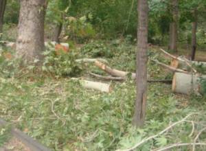 Will the forest become unaccessible for villagers?