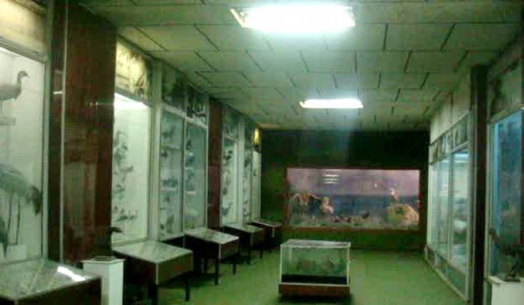 edb757068056bc2cecc4b0eab6039b8f