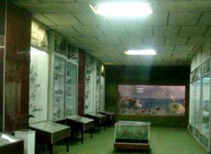 Samples on the brink of elimination