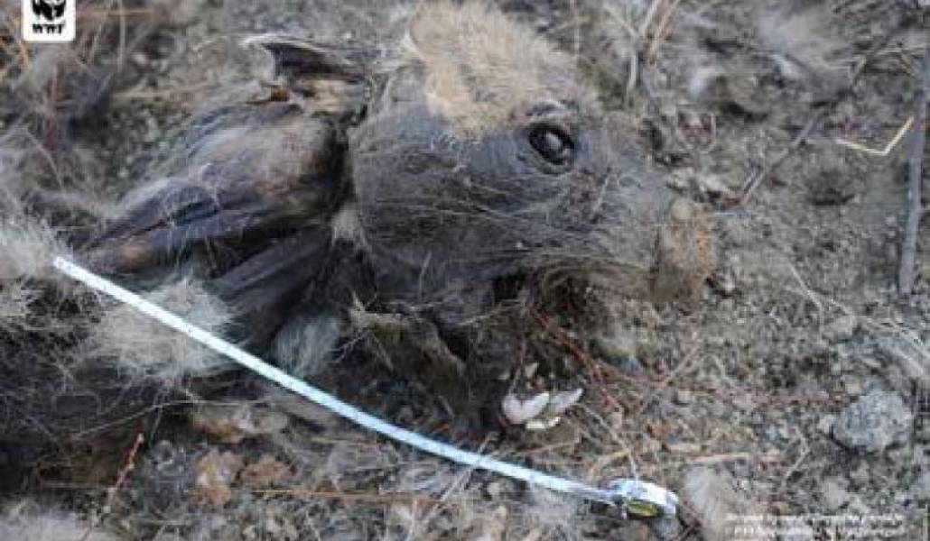 a02781ef485e5efa8da46e84689b777b