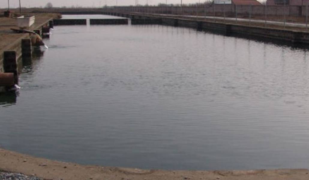 5259b4e43b44a85b96a053b9bb4df733