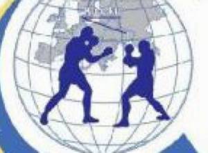 Armenian boxers win two silver medals
