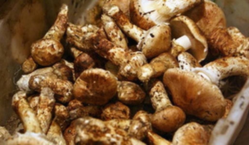 f767bb451e969d251aa6d84f9f155bf2