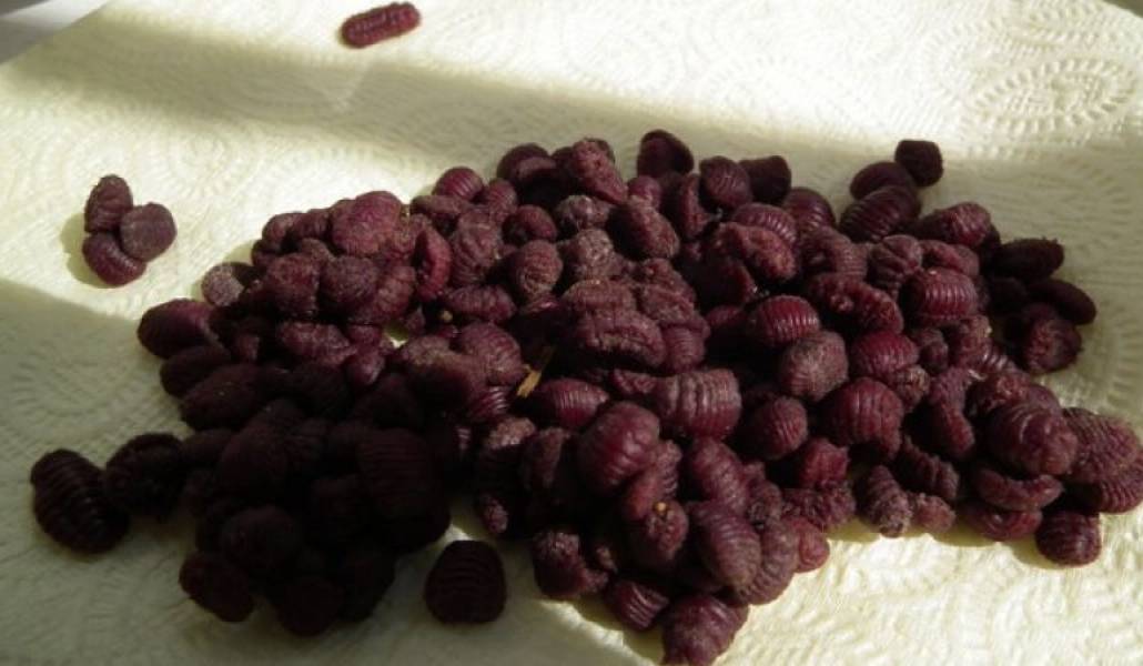 cd003747dfcf32b20f1698a30f47cfdf