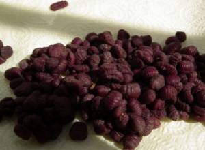 Only tape "red worms"