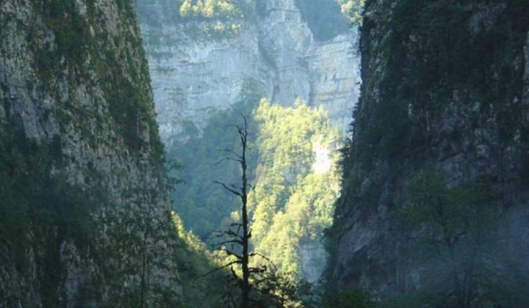 1b4a656b875d0a3c5d7c24810918bca7