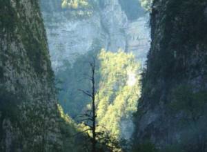 Iranian citizen corpse found in gorge