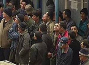 International migrants can reach 405 million by 2050