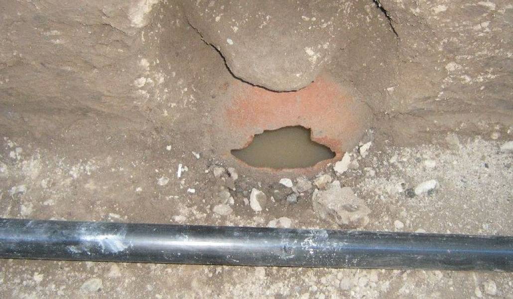 7d6550133425c33ea81faaab176604e7