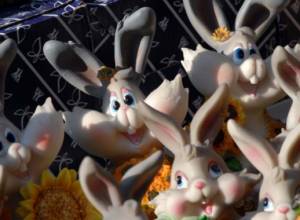 What does Rabbit like?