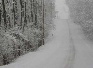 Roads of 11 communities closed