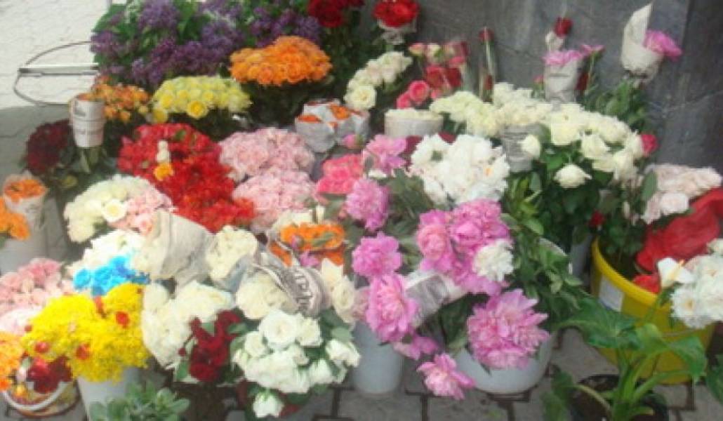 ca18841ccc7609573c0fff791e56ac6d