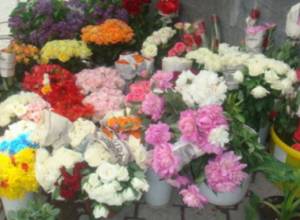 Is a month too long or too short?