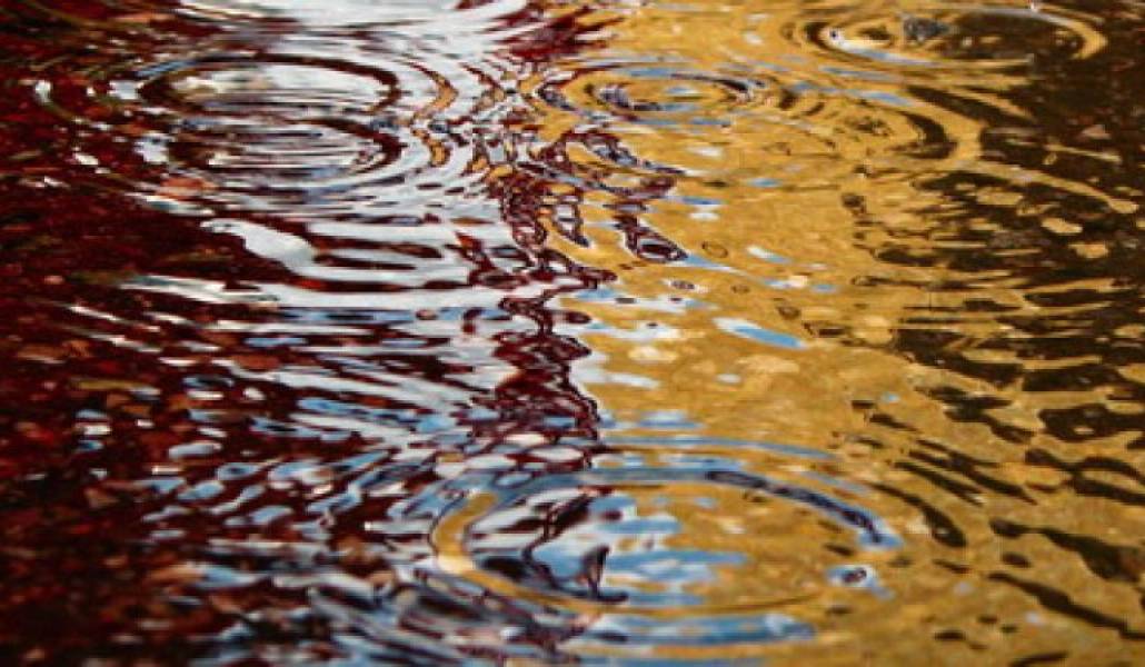 a0a87994bd4af0bc84c2072cd4c397bb