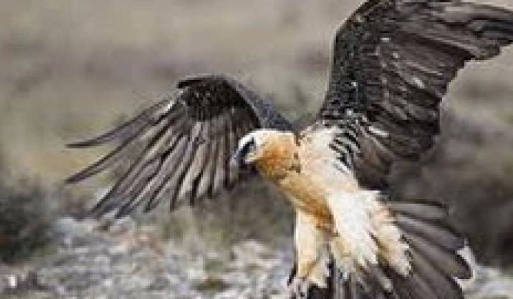 d2239e03e5f92ed111b5b0a3db734dd0