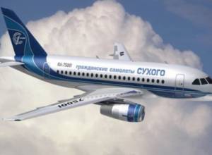 Bird gets struck in plane engine