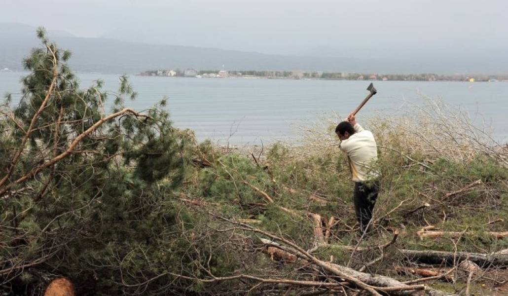 75ea8748bf10914a373f583f14683135