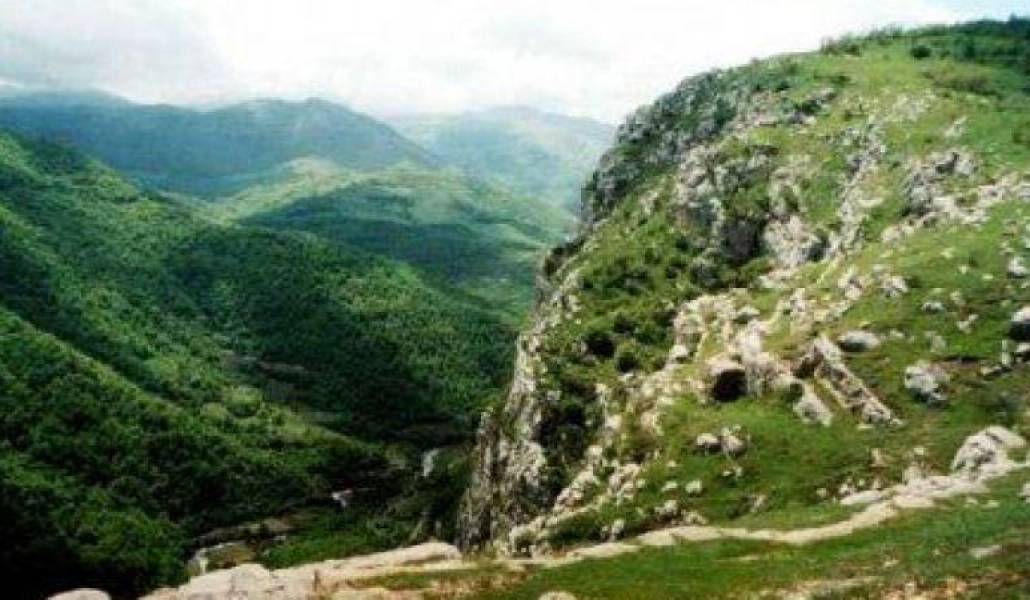 e70e6a342ea78175952ba4f8cdc355c7