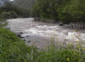 Search for missing passengers continues