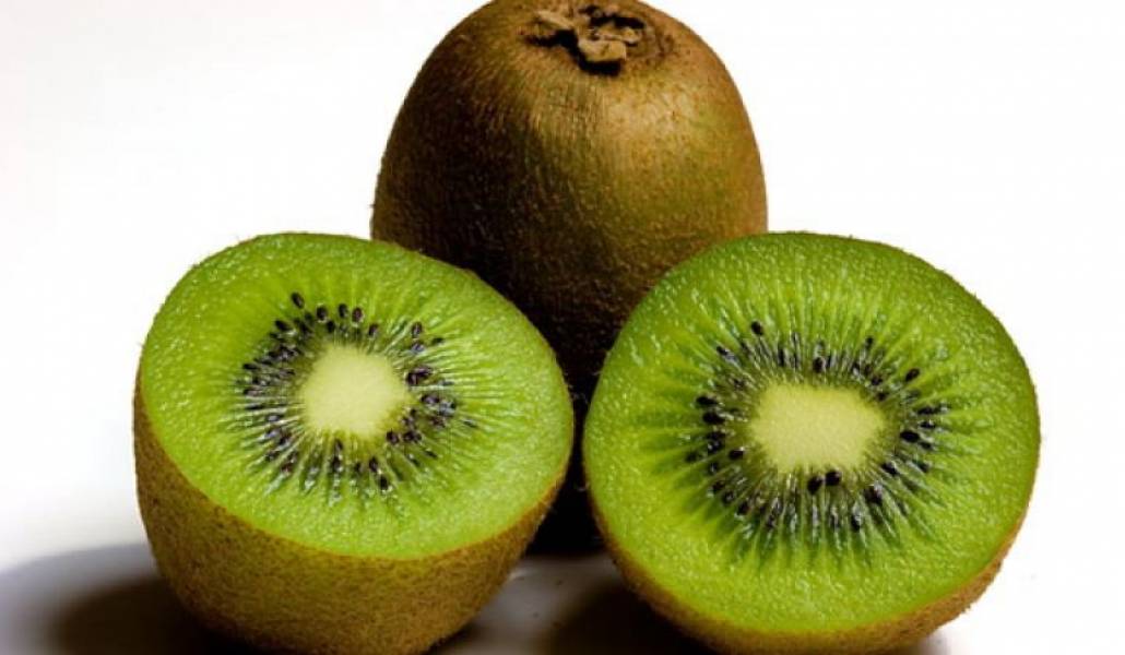 914492d2a49ce26343f2572e603722e5