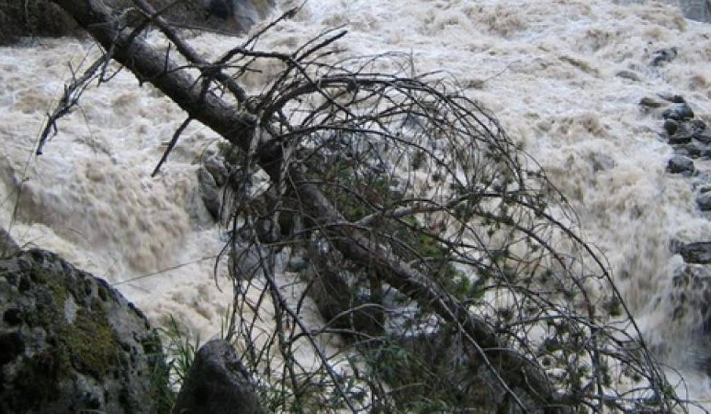 370575cf796dbdfc26d364402fcf03e7