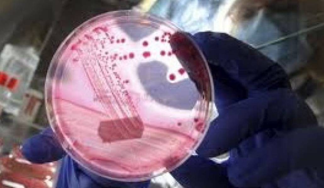 64b5d39975deb29cf176a10c4e646c3c