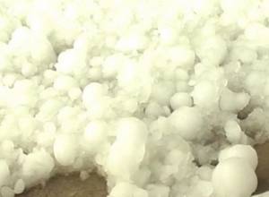 Hail damages orchards in Vayots Dzor