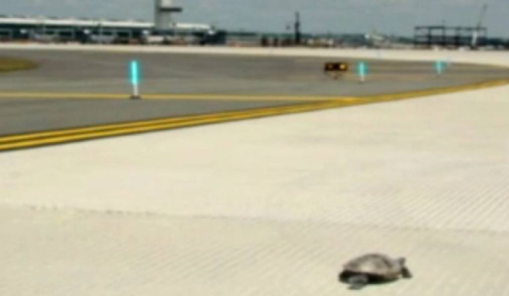 a81e5da975317f0b2939b03f322967a7