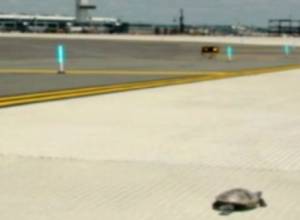 Workers’ strike reaches the UK