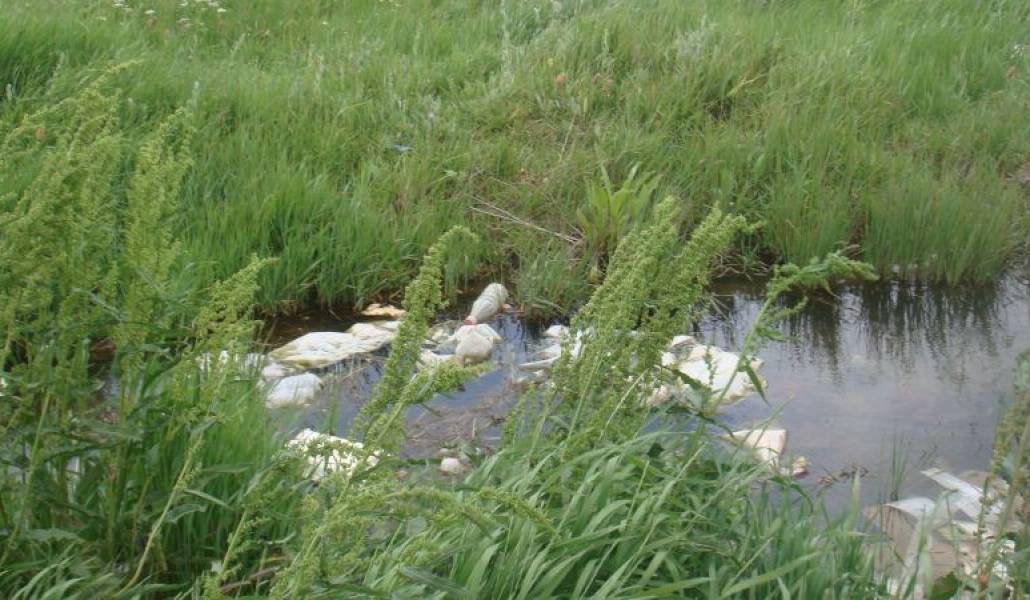 08d6d6a84626afe2f0a92a14d499944d