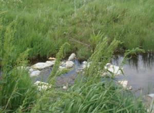 Province “welcomes” with trash