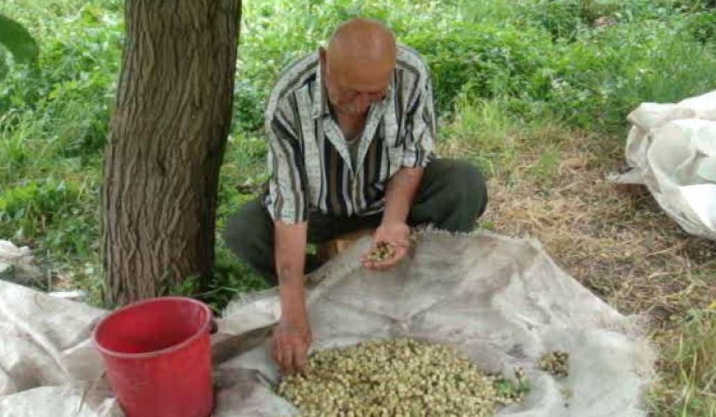 0304071c44431dc252d1614dfaf856ee