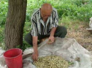 “Pay attention to the village”