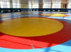 Rafik Manukyan wins gold at Junior World Championships