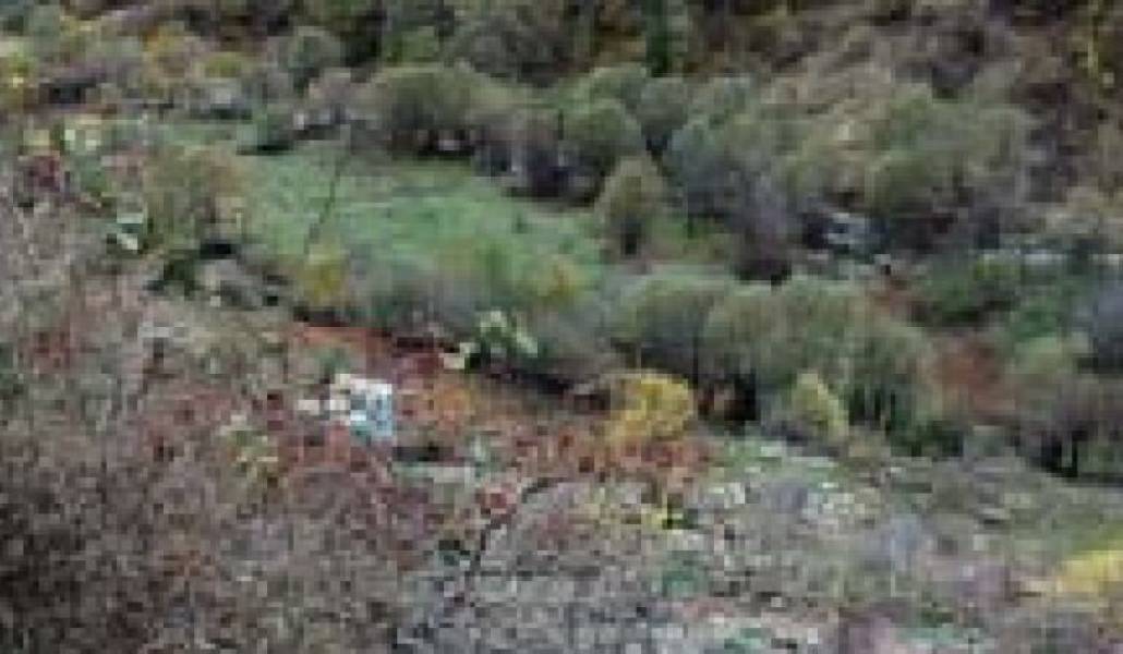 63d8223ebdc26828b66b7c4cf6b864d4