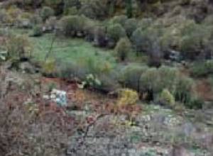 Territories with radioactive radon to be revealed