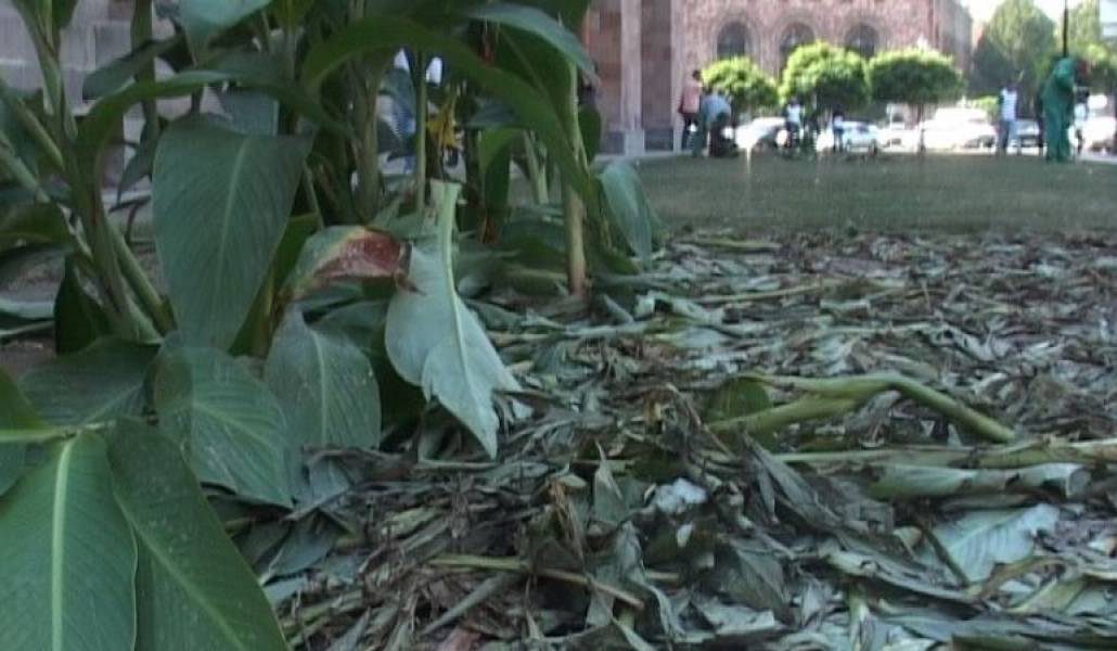 fb1b49da3c56ccd73f9eabc7af08959e