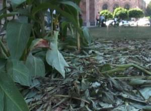 “Celebration raises combat readiness”