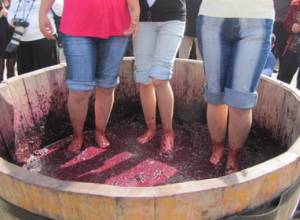 Areni village to host wine festival
