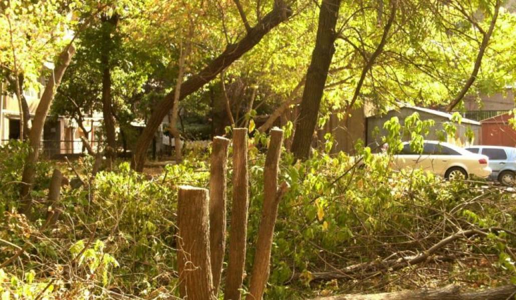 a2f563bac6a1bceca705cd0350deef05