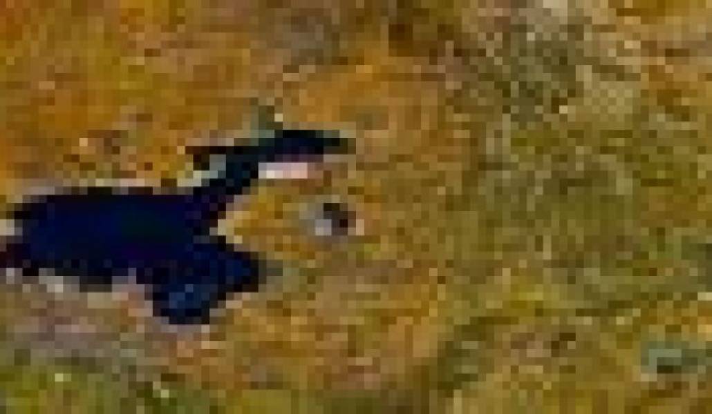 d33efb040c341faab084e4f98bad4c91