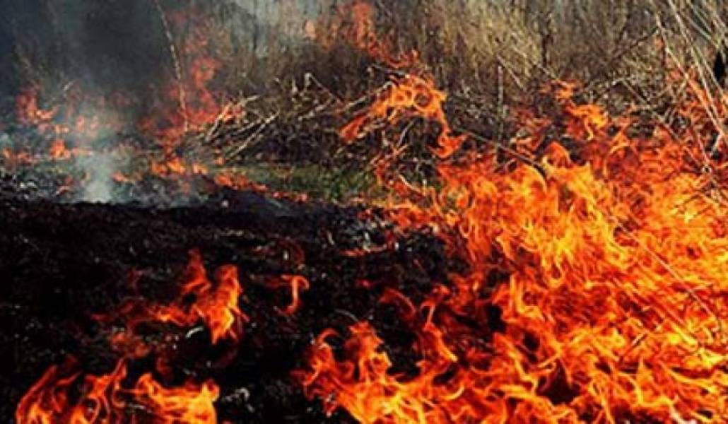 b9e141e40ffd1967a76c259f877f6de6