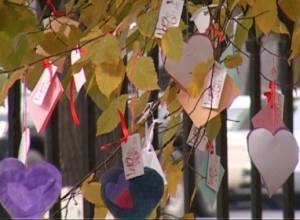 11.11.11 –day of sacred dreams