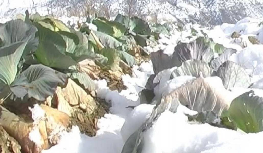 ed11b2b8993a2eb262929fbb21a839f8