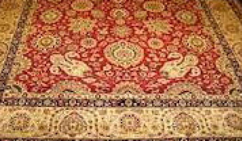 14a214c2584d548afcab6f78f5eea2aa