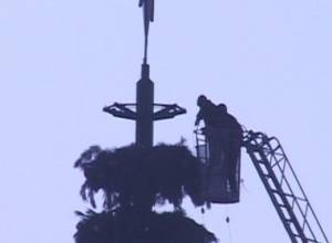 Decorations underway for Yerevan Christmas Tree