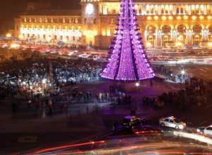 15 Christmas trees in 15 years