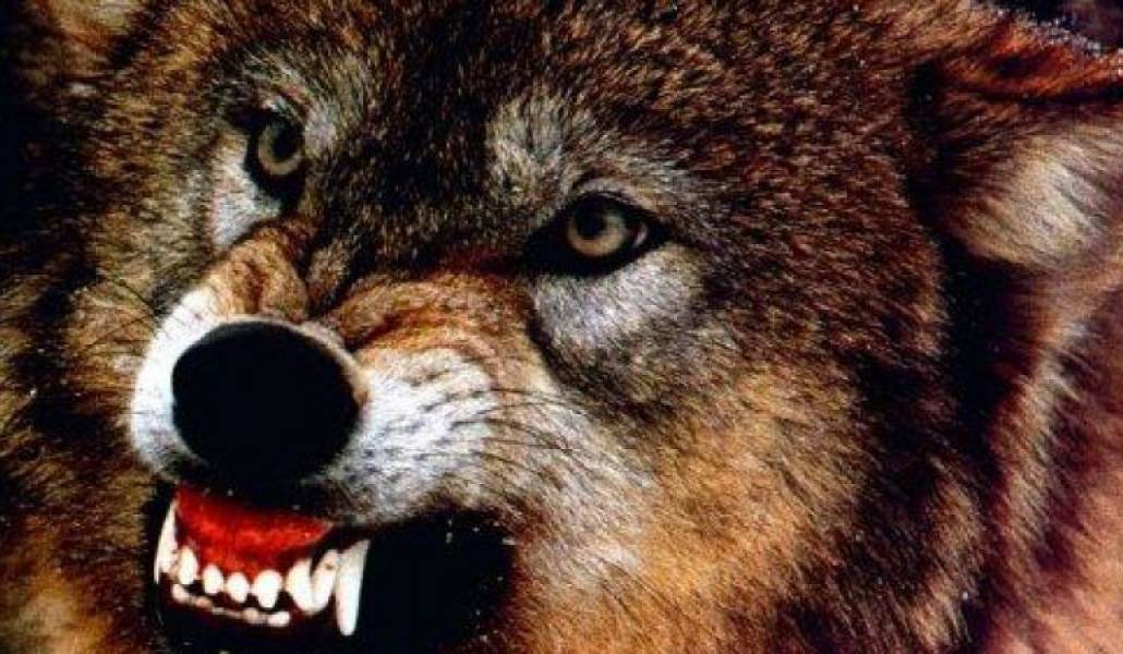 3111b86fb5b8ce36be87716da51b74cf