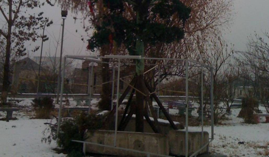 f82c4c4e579d1b17d65e500e0db1ff77